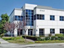 Modern looking office building with blue windows
