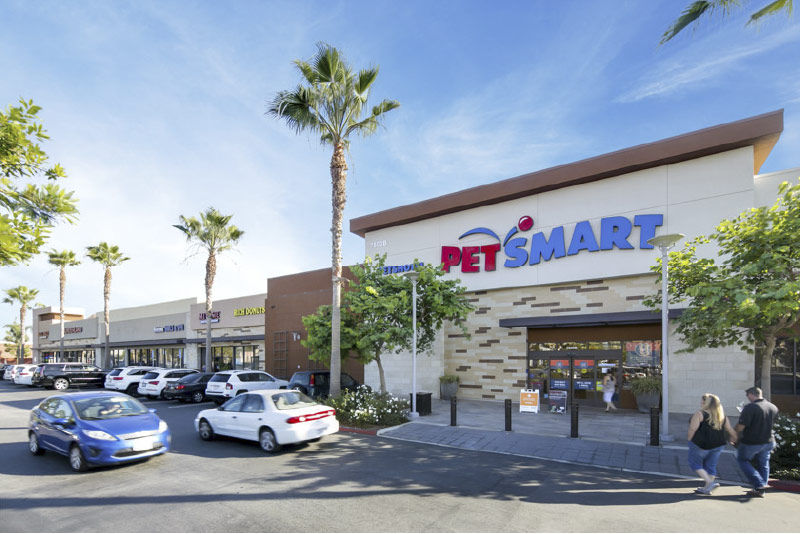 petsmart bella terra